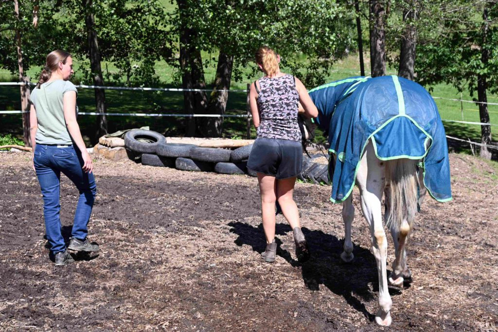 bet 0490 noch kleiner